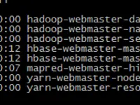 设置Hadoop+Hbase集群pid文件存储位置
            
    
    博客分类： HadoopHbase hadoophbasepid文件 