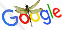 谷歌针对中国研发的“蜻蜓”搜索引擎项目终止