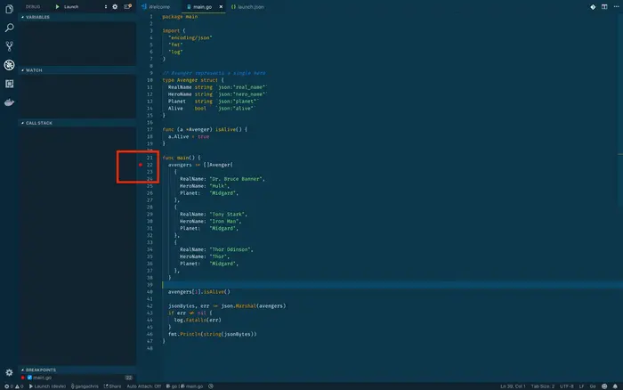 使用Visual Studio Code调试Go代码