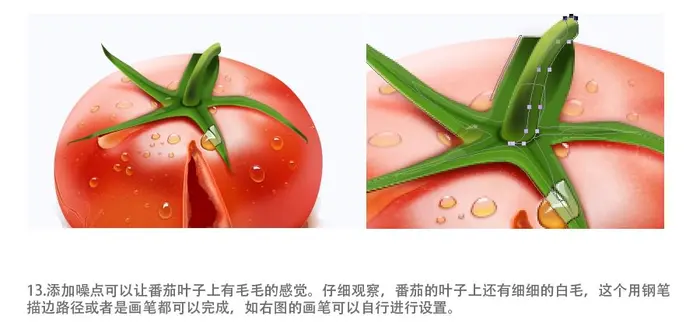photoshop设计制作出一个裂开的红色番茄效果教程